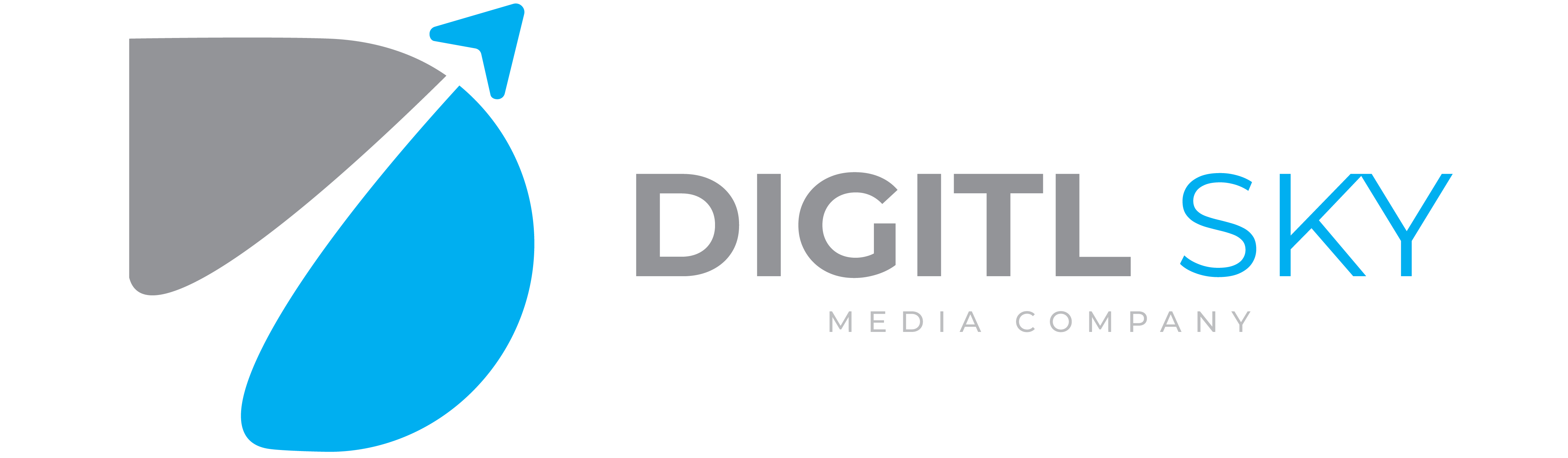Cropped Ds Logo 9.png